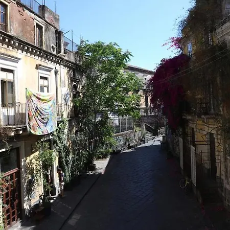 Appartement Superior House